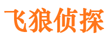 神农架市侦探调查公司